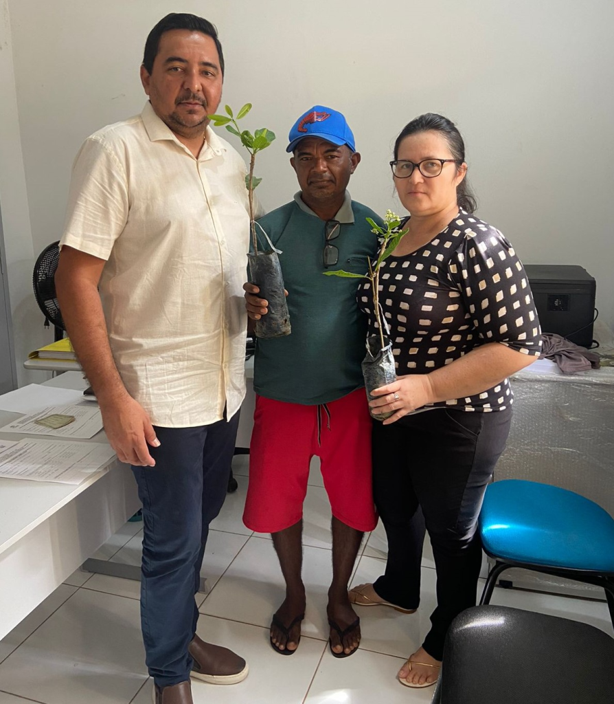 Prefeitura de Murici dos Portelas Distribui 1.000 Mudas de Pés de Caju para Agricultores Familiares