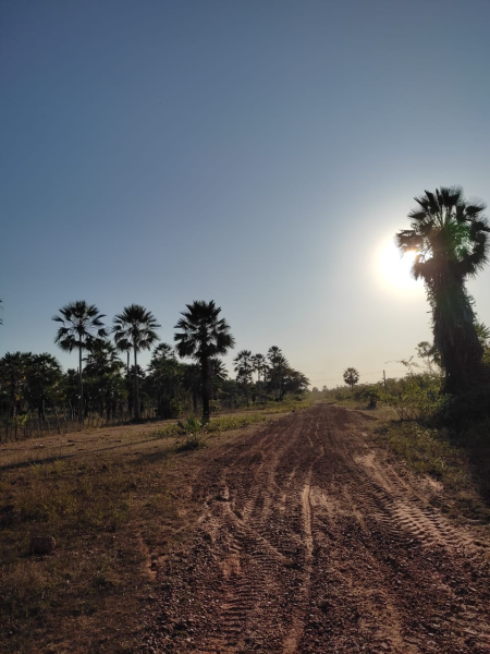 Prefeitura de Murici dos Portelas Faz Reformas Em Estradas Vicinais na Localidade São Vicente