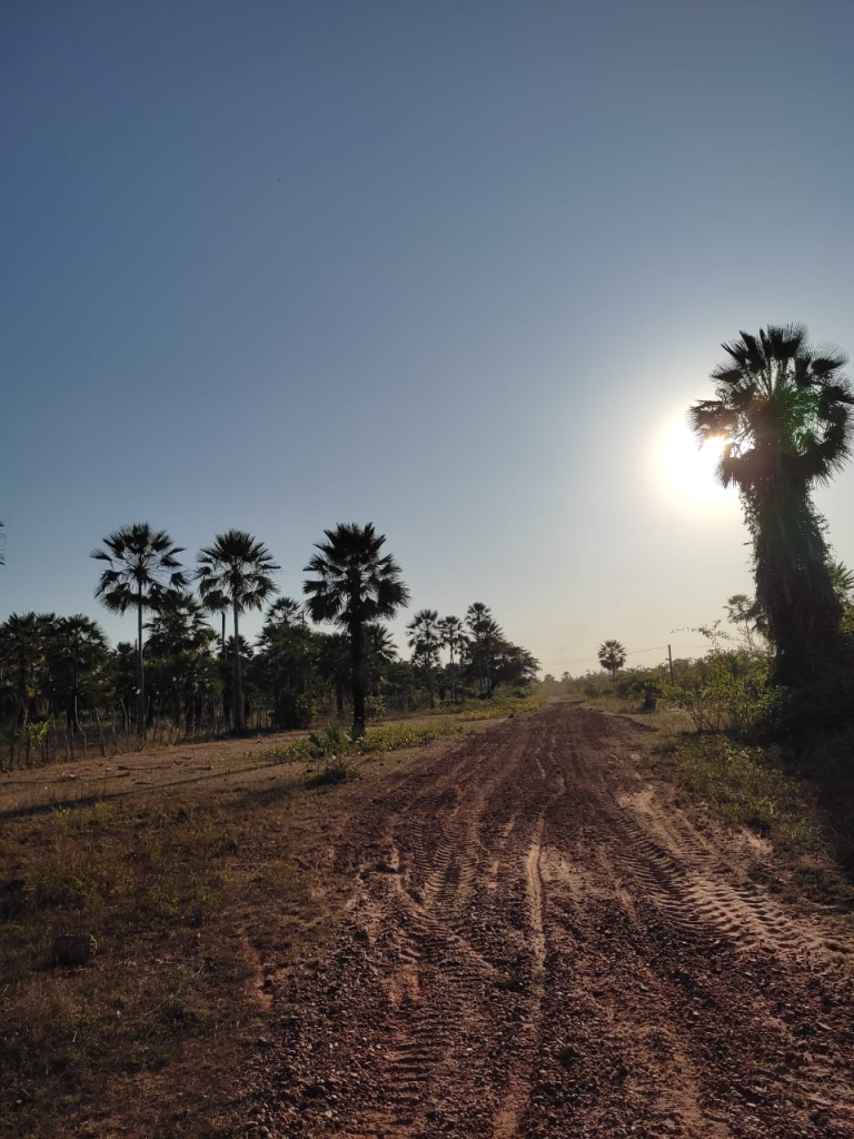 Prefeitura de Murici dos Portelas Faz Reformas Em Estradas Vicinais na Localidade São Vicente
